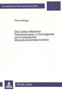 Das Gebot Effektiven Rechtsschutzes in Grundgesetz Und Europaeischer Menschenrechtskonvention