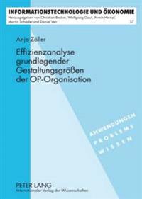 Effizienzanalyse Grundlegender Gestaltungsgroeßen Der Op-Organisation
