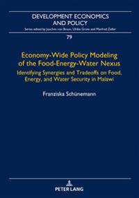 Economy-Wide Policy Modeling of the Food-Energy-Water Nexus