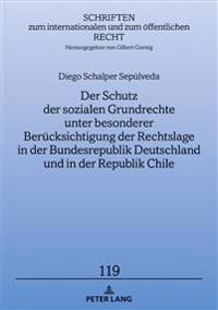 Der Schutz Der Sozialen Grundrechte Unter Besonderer Beruecksichtigung Der Rechtslage in Der Bundesrepublik Deutschland Und in Der Republik Chile