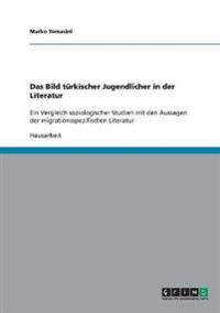 Das Bild türkischer Jugendlicher in der Literatur