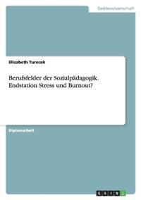 Berufsfelder der Sozialpädagogik. Endstation Stress und Burnout?
