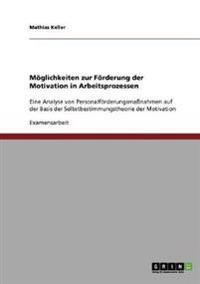 Möglichkeiten zur Förderung der Motivation in Arbeitsprozessen