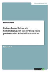 Problemkonstellationen in Selbsthilfegruppen aus der Perspektive professioneller Selbsthilfeunterstützer