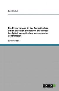 Die Erwartungen in der Europäischen Union an einen EU-Beitritt der Türkei bezüglich europäischer Interessen in Zentralasien