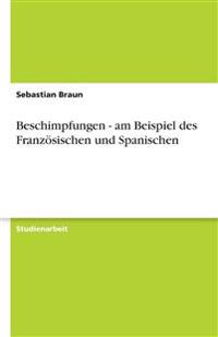 Beschimpfungen - am Beispiel des Französischen und Spanischen