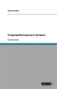 Erregungsübertragung an Synapsen