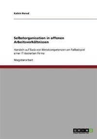 Selbstorganisation in offenen Arbeitsverhältnissen
