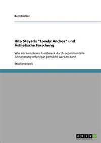 Hito Steyerls "Lovely Andrea" und Ästhetische Forschung