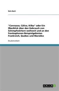 "Connasse, Câlice, Kilba" oder Ein Überblick über den Gebrauch von Schimpfwörtern weltweit und an den frankophonen Beispielgebieten Frankreich, Quebec und Marokko