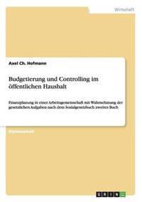 Budgetierung und Controlling im öffentlichen Haushalt