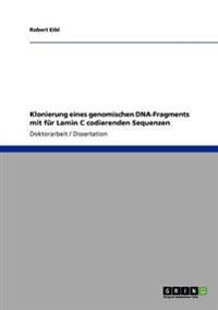 Klonierung eines genomischen DNA-Fragments mit für Lamin C codierenden Sequenzen