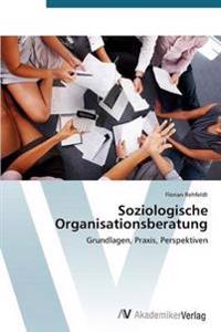 Soziologische Organisationsberatung