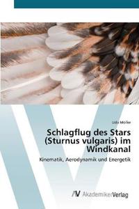 Schlagflug des Stars (Sturnus vulgaris) im Windkanal