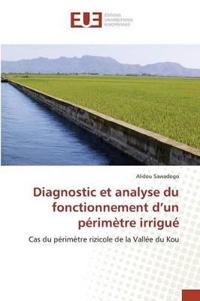 Diagnostic Et Analyse Du Fonctionnement d'Un Périmètre Irrigué