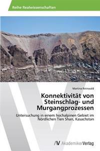 Konnektivitat Von Steinschlag- Und Murgangprozessen