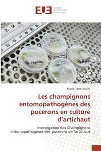 Les champignons entomopathogènes des pucerons en culture d'artichaut