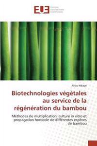 Biotechnologies végétales au service de la régénération du bambou
