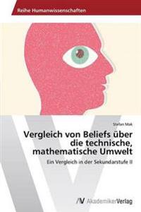 Vergleich von Beliefs uber die technische, mathematische Umwelt