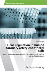 Gene regulation in human coronary artery endothelial cells