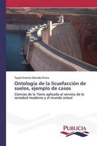Ontología de la licuefacción de suelos, ejemplo de casos