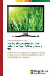 Visão do professor das adaptações feitas para a TV