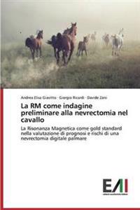 La RM come indagine preliminare alla nevrectomia nel cavallo