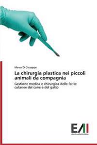 La chirurgia plastica nei piccoli animali da compagnia