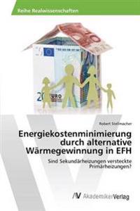 Energiekostenminimierung durch alternative Wärmegewinnung in EFH