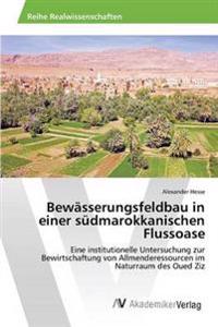 Bewässerungsfeldbau in einer südmarokkanischen Flussoase