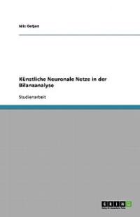 Künstliche Neuronale Netze in der Bilanzanalyse