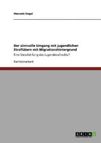 Der sinnvolle Umgang mit jugendlichen Straftätern mit Migrationshintergrund