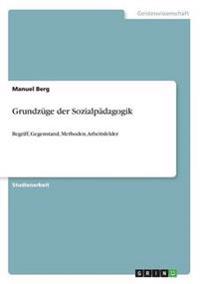 Grundzüge der Sozialpädagogik