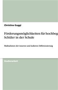 Foerderungsmoeglichkeiten fur hochbegabte Schuler in der Schule