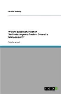 Welche Gesellschaftlichen Veranderungen Erfordern Diversity Management?