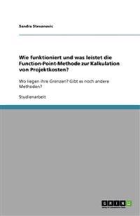 Wie funktioniert und was leistet die Function-Point-Methode zur Kalkulation von Projektkosten?