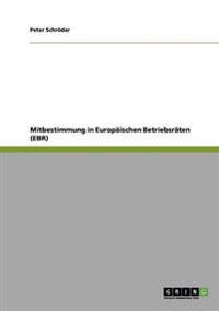 Mitbestimmung in Europäischen Betriebsräten (EBR)