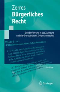 Springer-Lehrbuch