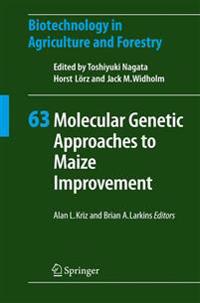 Molecular Genetic Approaches to Maize Improvement