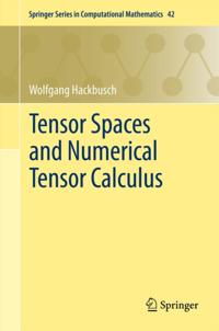 Springer Series in Computational Mathematics