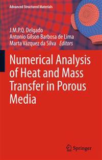 Numerical Analysis of Heat and Mass Transfer in Porous Media