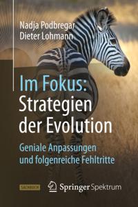 Naturwissenschaften im Fokus