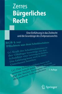 Springer-Lehrbuch