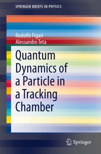 SpringerBriefs in Physics
