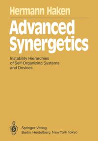 Springer Series in Synergetics