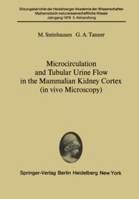 Microcirculation and Tubular Urine Flow in the Mammalian Kidney Cortex (in vivo Microscopy)