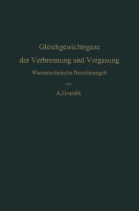 Gleichgewichtsgase der Verbrennung und Vergasung