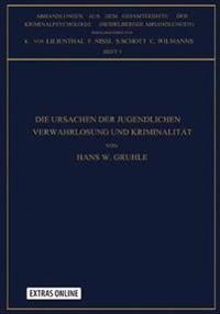 Die Ursachen der Jugendlichen Verwahrlosung und Kriminalität