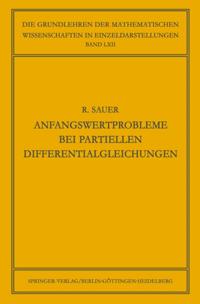Anfangswertprobleme bei Partiellen Differentialgleichungen