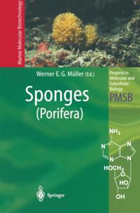 Progress in Molecular and Subcellular Biology